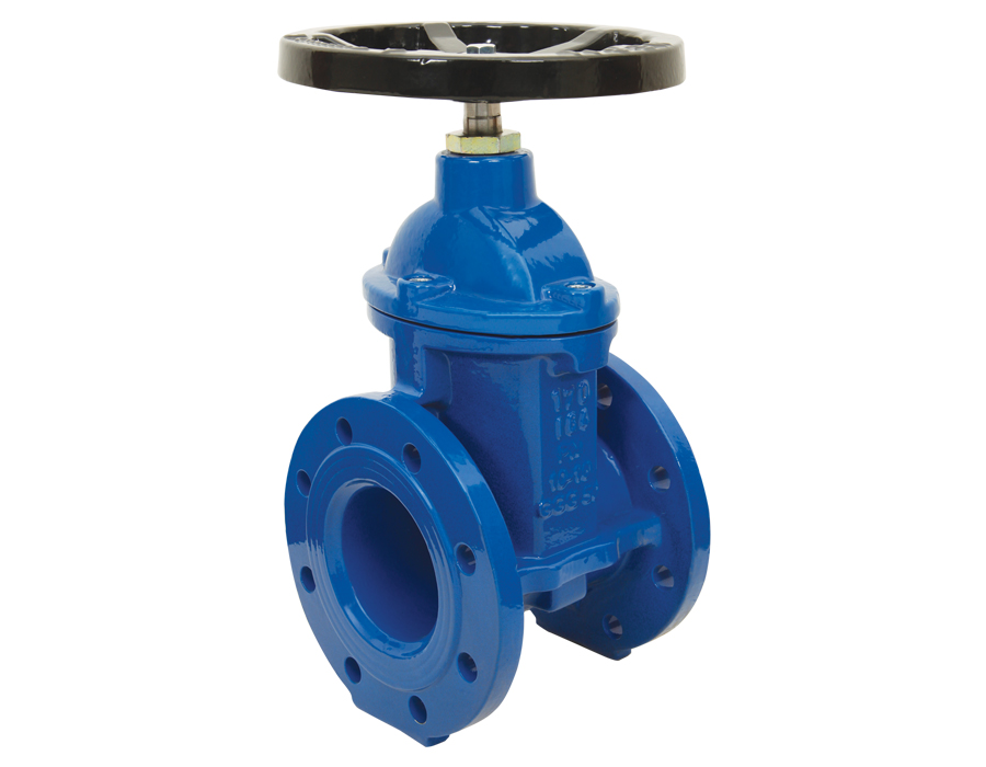 F4 Resilient Seated Gate Valve